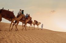 Dubai Red Dunes Safari, Camel Ride & Live BBQ 