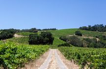 Sonoma Trike and Mindfulness - 3 hour guided tour
