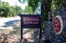 Sonoma Trike and Mindfulness - 3 hour guided tour