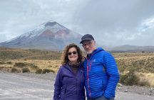 Cotopaxi and volcanoes avenue