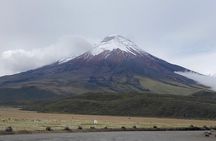 Cotopaxi and volcanoes avenue