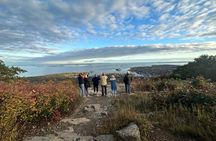 Camden, Rockland, Pemiquid, and Belfast Exclusive Private Tour