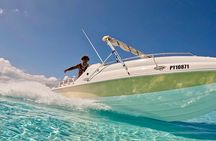 Crazy sea horse Bora Bora jet boating snorkeling and barbecue. 