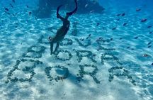Bora Bora blue lagoon excursion, snorkeling, lunch in heaven