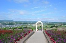 Hokkaido Furano and Biei Private Day Tour（Depart from Sapporo）