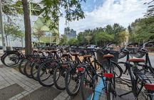 Private Bike or E-bike Tour Starting from your Hotel