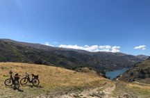 Wanaka Breweries E-Bike Tour