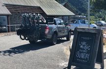 Wanaka Breweries E-Bike Tour