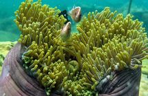 Koh Rong Sanloem Diving for Beginners