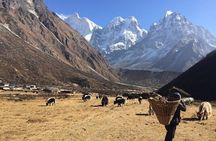 Kangchenjunga Circuit South and North Base Camp Trek