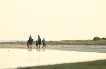 Horse Riding experience by Haras du Morne 
