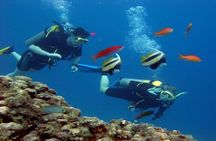 Diving Adventure at Ras Mohamed & White Island - Sharm El Sheikh
