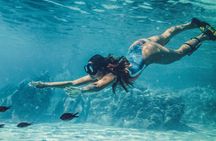 Ras Mohamed & White Island,Snorkeling & 1 Diving -Sharm el sheikh