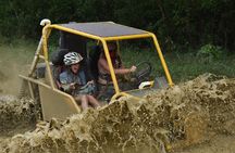 City Tour and Dune Buggy 