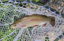 Anchorage Guided Fly-fishing