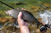 Anchorage Guided Fly-fishing