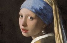 Kinderdijk, Delft and The Hague Private Tour from Rotterdam