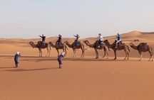 Nomad Adventure Sahara 2-Day 1-Night (1 Night Mobile Camp)