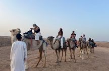 Agafay desert Full experience quad , camel ride , dinner and Show