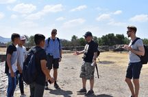 From cdmx: Teotihuacan and Basilica of Guadalupe all inclusive