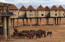 2 Day Private Taita Hills Game Sunctuary Tour