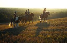 Horseback Riding in the Landscape