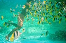 Private Half Day Sailing Excursion on the Lagoon of Tahiti