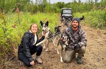 Dryland Dog Sled Tour
