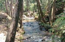 Amazing Arvi natural reserve private tour with transportation