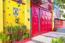 From cdmx: Tour in Coyoacan and Xochimilco all inclusive