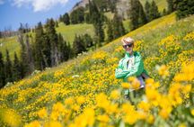 Yellowstone in a Day - Wildlife, Canyons, & Hot Springs
