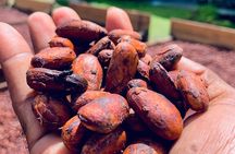 Grenada City Tour, Spice Market, Chocolate, Fort Frederick