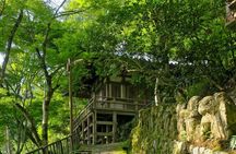 Otagi Nenbutsu Temple and Arashiyama Bamboo Forest Tour