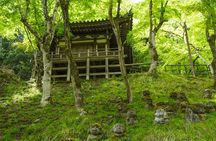 Otagi Nenbutsu Temple and Arashiyama Bamboo Forest Tour