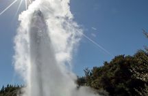 Rotorua Māori Village and Activity Combinations from Auckland