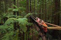 From Auckland to Rotorua Waiotapu and Activity Combinations 