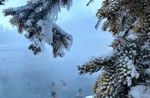Chena Hot Spring Day Tour