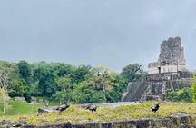 Private Tour to Tikal from Flores, all included.