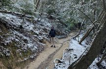 Mount Daimonji Hike Includes Temples Shrines & Gardens of Kyoto