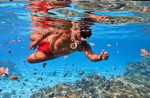 Crazy sea horse Bora Bora jet boat sensations and snorkeling 