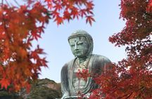 4-hour Private Tour of Kamakura with Government-Licensed Guide