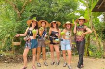 Half Day Chiang Mai Cooking Class and Market Taste Tour