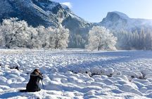 Yosemite Through the Lens: Private Photography Workshop, full day
