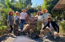 Half Day Chiang Mai Cooking Class and Market Taste Tour