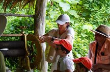 Elephant Nature Experience with Lunch at Bukit Elephant Park