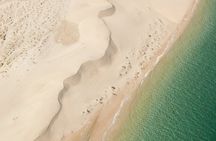Transit Exclusive Discover Desert and Inland Sea Tour