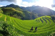 2 Days 1 Night Sapa Trekking Group Tour at Homestay