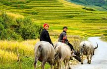 2 Day Sapa Trekking Tour