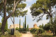 Private Vineyard Tour and Wine Tasting in Bandol