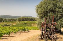 Private Vineyard Tour and Wine Tasting in Bandol